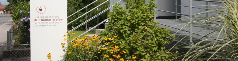 Eingangsbereich mit Garten